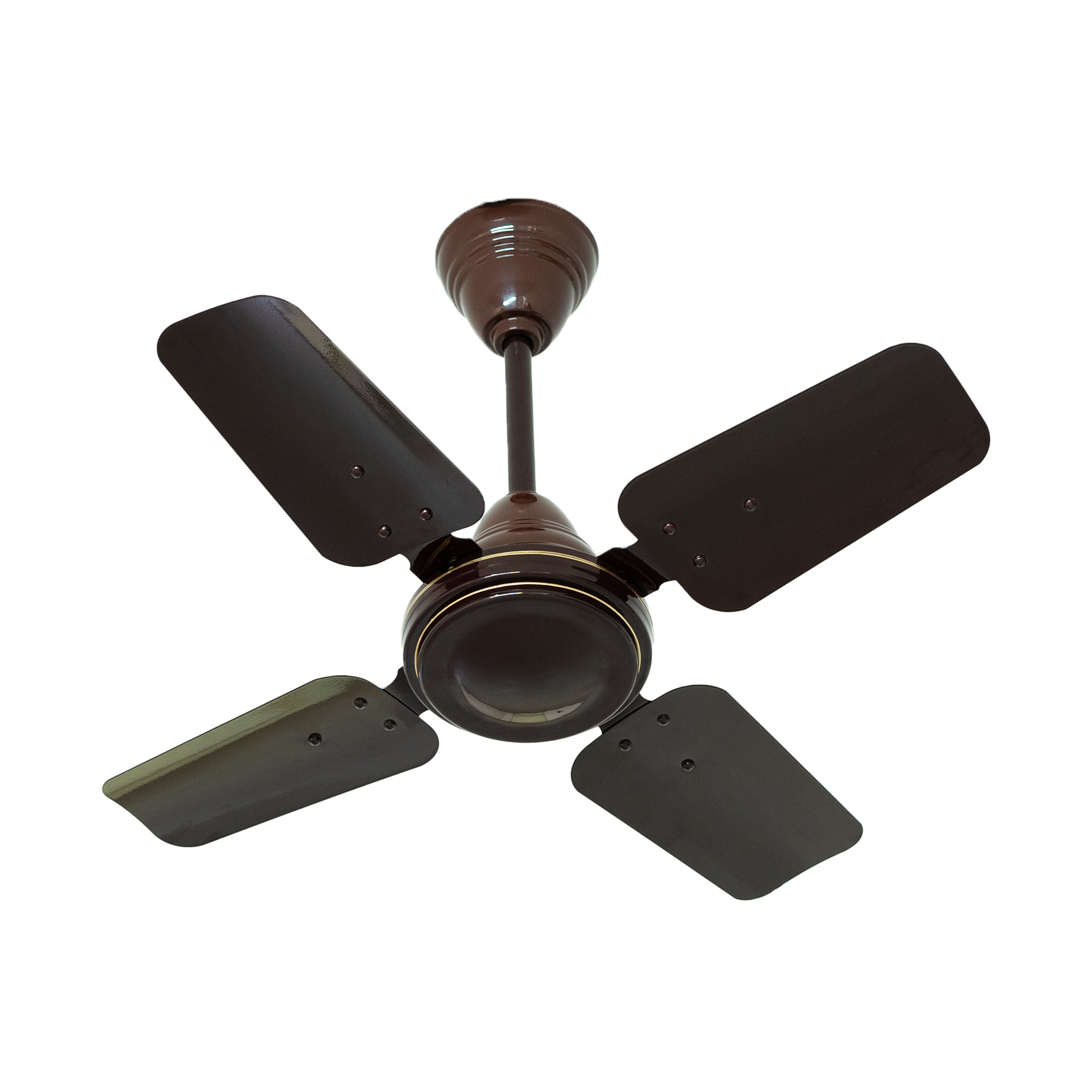 Luster Brown