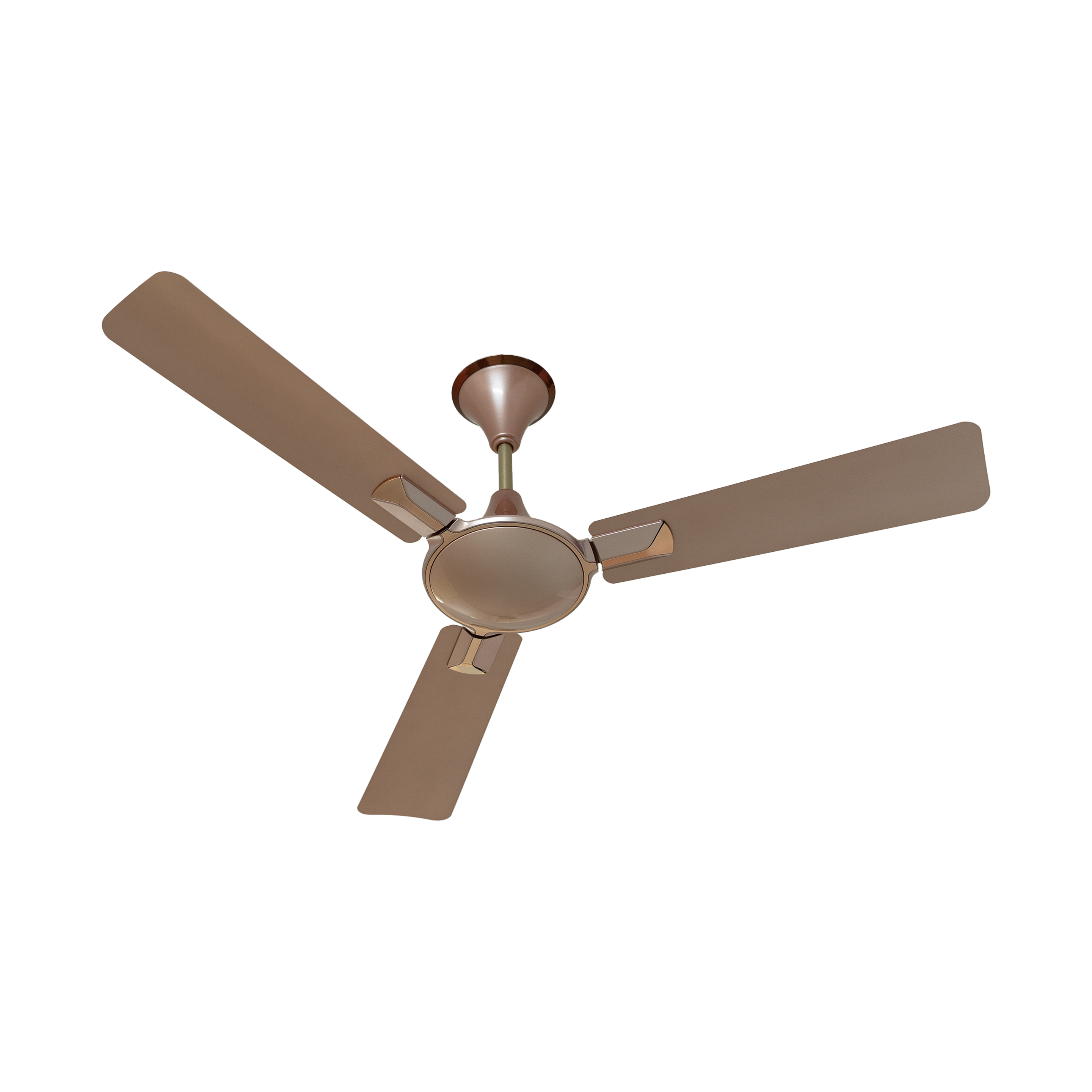 Rose Gold (Design 3)