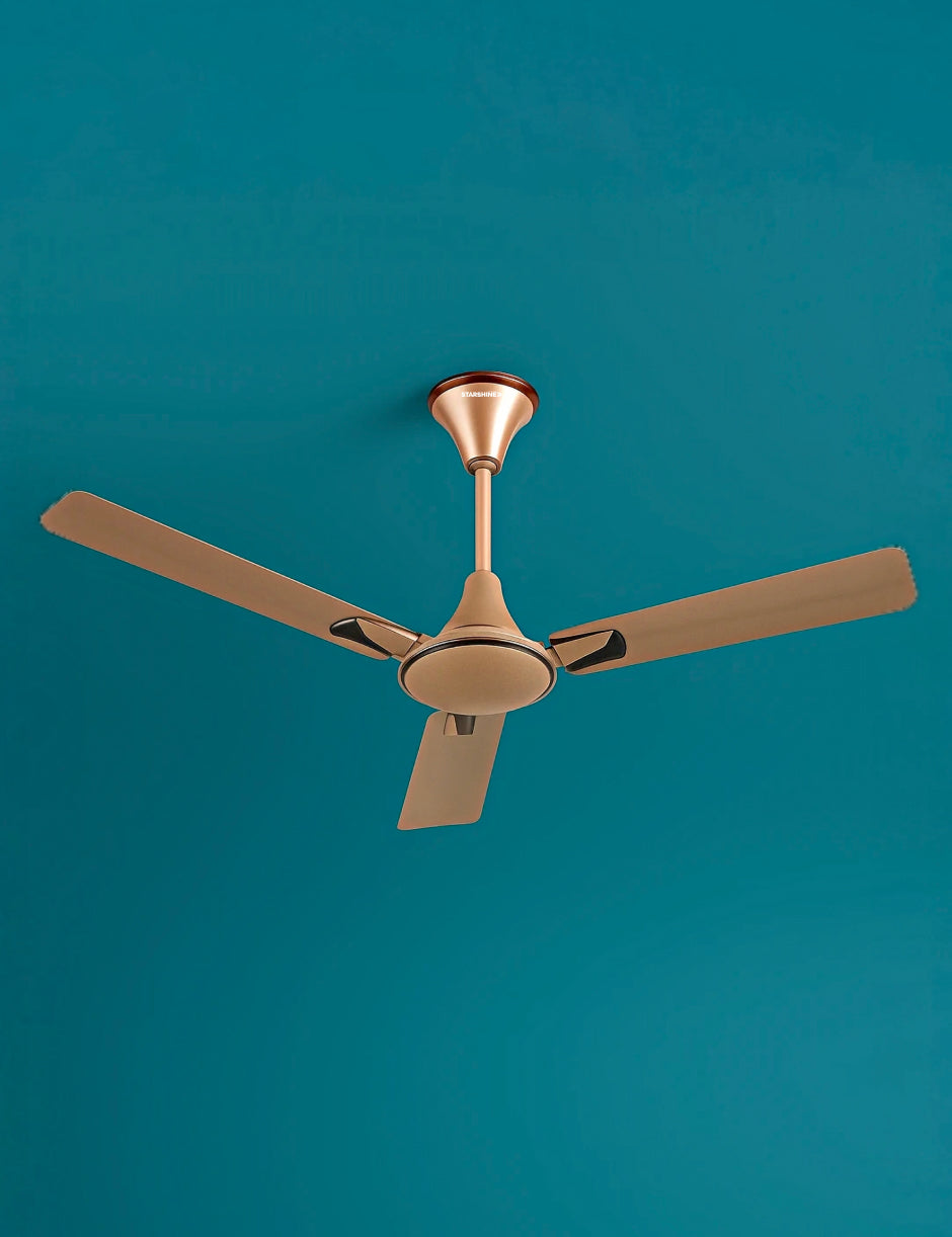 Ceiling Fan