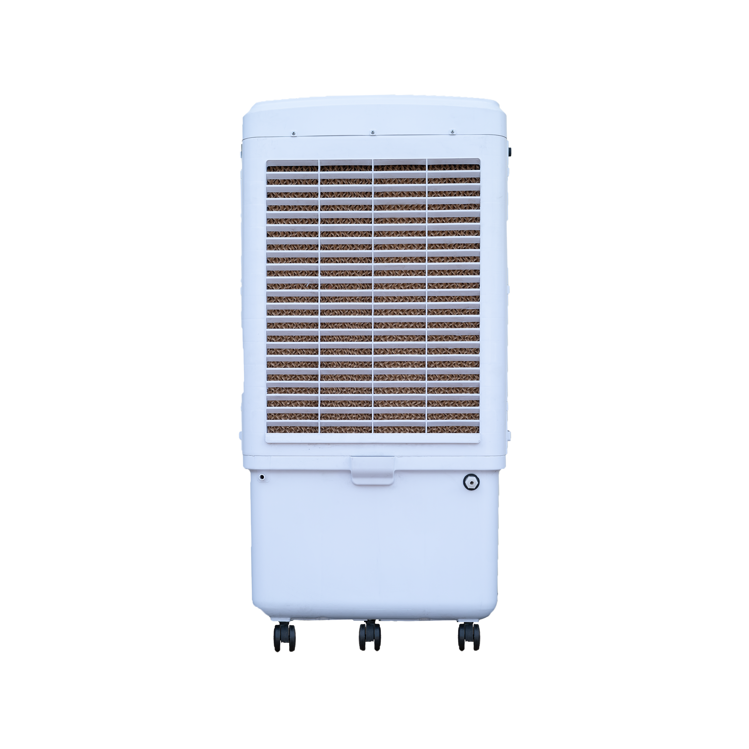 CHERRY 100 L